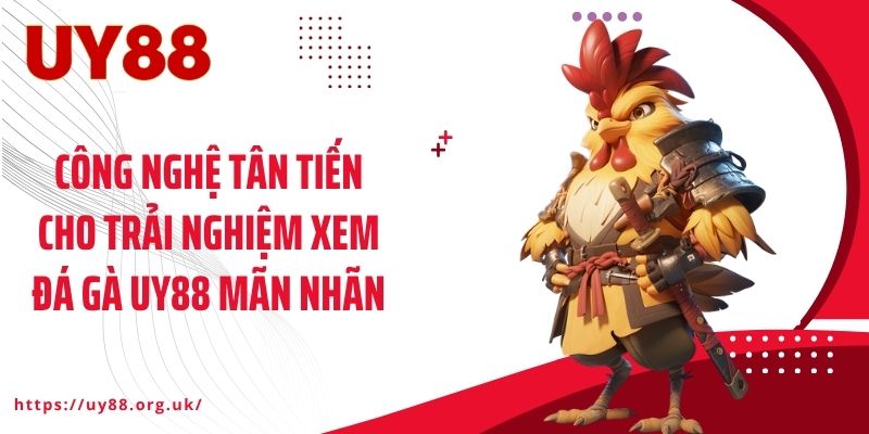 Công nghệ tân tiến cho trải nghiệm xem đá gà UY88 mãn nhãn