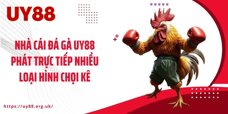 Nhà cái đá gà UY88 phát trực tiếp nhiều loại hình chọi kê